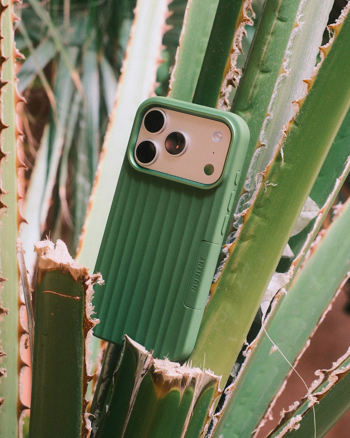 Bold Case - Image 2